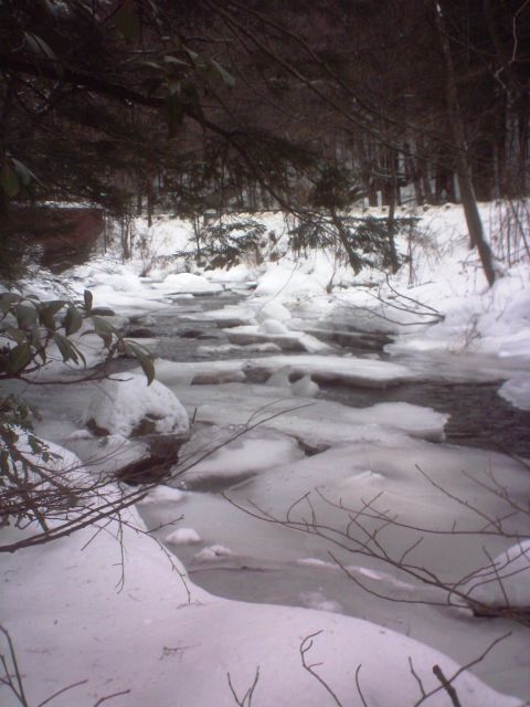 1966 Land Rover Discovery - A frozen stream flows through a snow-covered landscape, with ice floes and bare branches visible against a backdrop of winter trees.