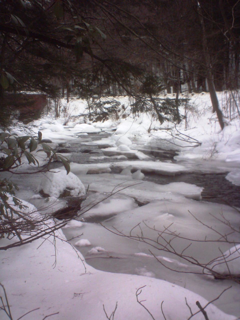 Frozen stream with ice floes and snow-covered banks, winter forest background