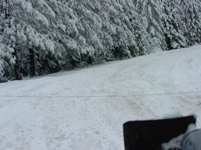 Snow covers a slope with trees in the background. A dark object is in the foreground