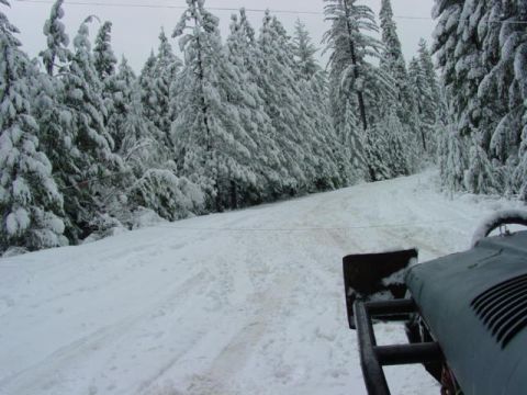 1986 Ford Bronco - A vehicle equipped with a snow plow navigates a snow-covered road through a forest.