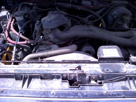 1986 Ford Bronco - Engine bay of a 1986 Ford Bronco, showing hoses, fan, and other engine components.