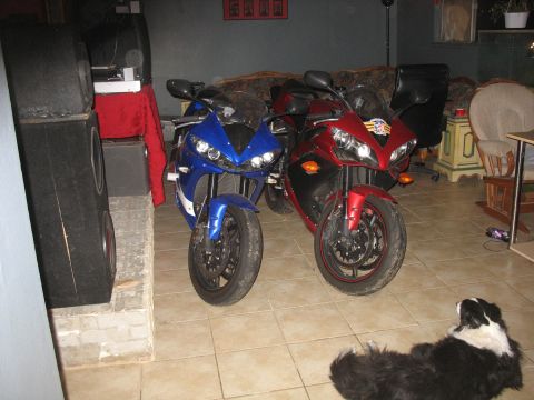 2005 Yamaha R1 - Two sport motorcycles are parked inside a room, with a dog lying on the floor nearby.