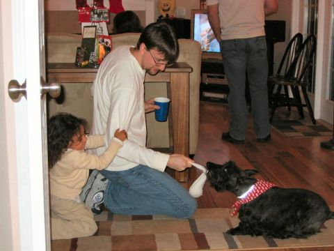 1985 Ford LTD Crown Victoria - A family enjoys a moment of play with their dog during what appears to be a holiday gathering.