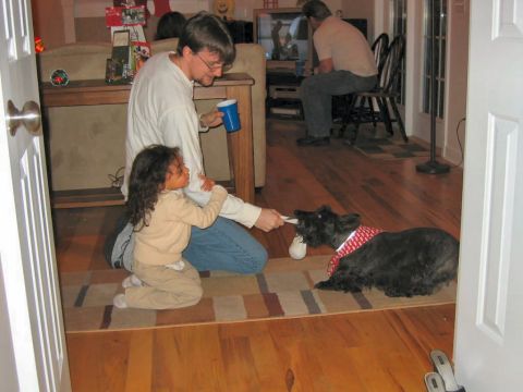 1985 Ford LTD Crown Victoria - A man and a child interact with a dog while another person watches TV in the background.