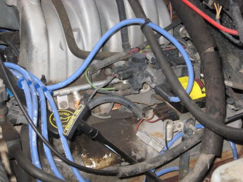 1994 Ford Bronco - Close-up view of a vehicle's engine bay, showing spark plug wires and other engine components.
