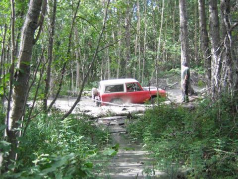 1978 Ford Bronco - A red and white 1978 Ford Bronco navigates a challenging muddy path through a dense forest.