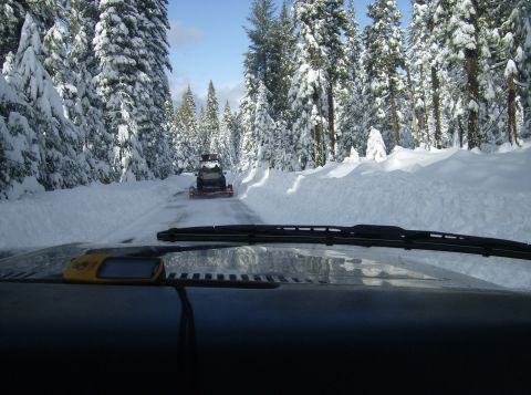 1986 Ford Bronco - A snowmobile travels down a road lined with snow-covered trees, viewed from inside another vehicle.