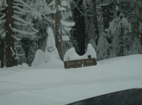 1986 Ford Bronco - A snow-covered sign indicates South Creek Road amidst a winter forest scene.