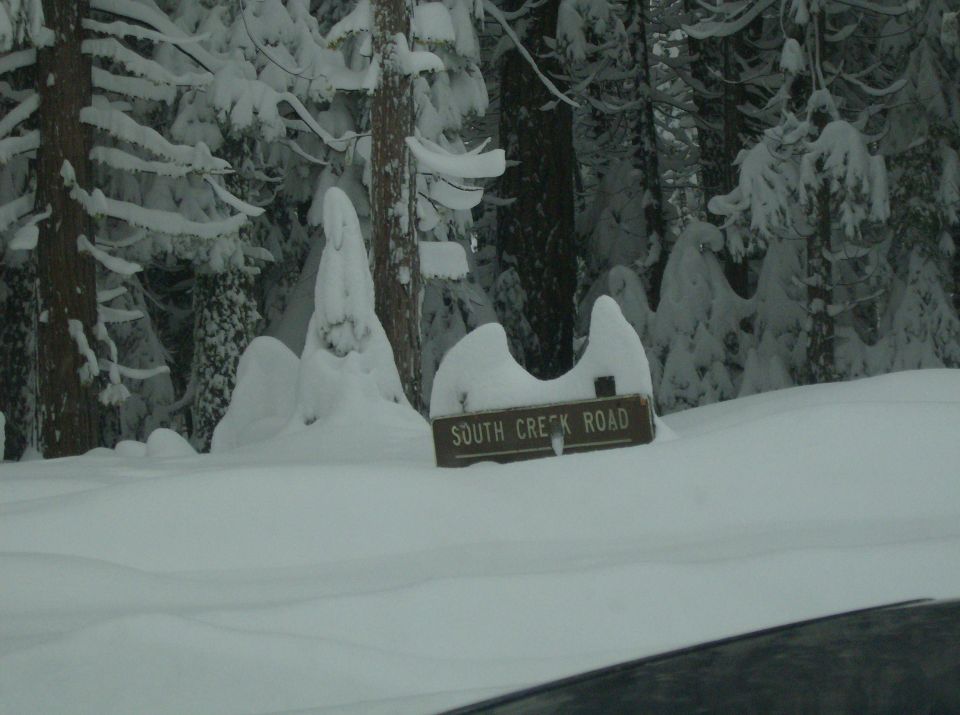 Wooden South Creek Road sign half-covered in snow, surrounded by snow-laden trees