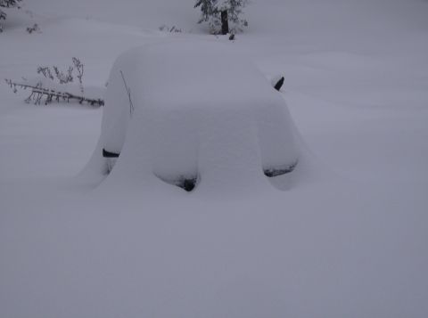 1986 Ford Bronco - A vehicle is completely covered in snow, with only a few parts of its body visible.