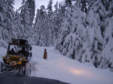1986 Ford Bronco - Two Jeeps navigate a snow-covered forest road, with one vehicle in the foreground and another following behind.