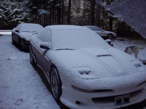 1993 Honda Prelude “none at this time”