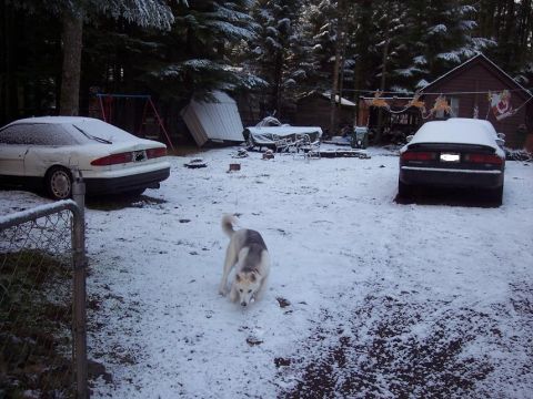 1993 Honda Prelude “none at this time”