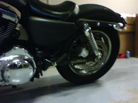 2006 Harley-Davidson Sportster Custom “Sin D Sue”