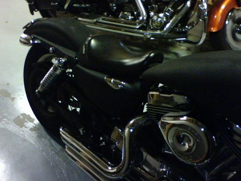 2006 Harley-Davidson Sportster Custom “Sin D Sue”