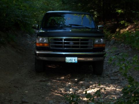 1995 Ford Bronco - This Ford truck appears to be from the mid-1990s, likely a F-Series, not a Bronco.