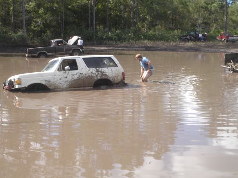 1989 Ford Bronco - Multiple vehicles are stuck in a muddy body of water, with trees in the background.