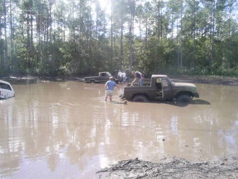 1989 Ford Bronco - Several vehicles are submerged in a muddy, wooded area, with people attempting to free them.