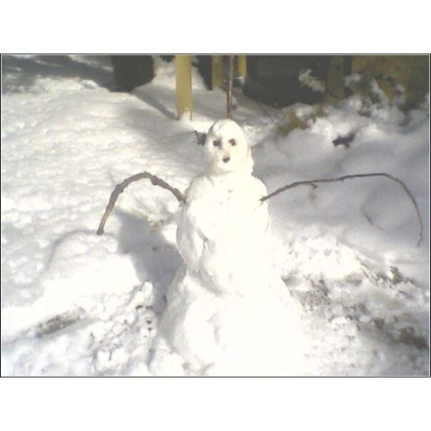 1972 Ford Ranchero - A snowman stands in the snow with branches for arms.