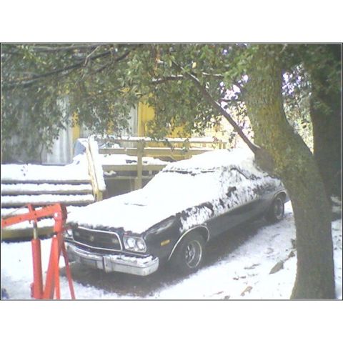 1973 Ford Ranchero - A car sits covered in snow during winter, with a tree and wooden stairs nearby.