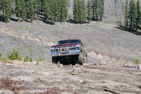 1979 Ford Bronco - A vintage Ford truck navigates a rough, wooded terrain with steep inclines.