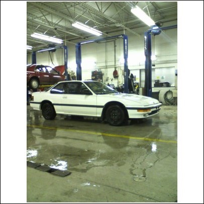 1994 Ford F-250 - A white coupe sits in a garage bay, while another vehicle is raised on a lift in the background.