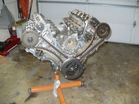 1996 Ford Mustang - A V8 engine assembly is displayed on an orange stand, revealing its internal timing chain and gear mechanisms.