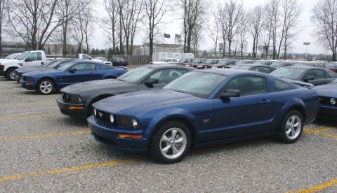 2003 Ford Crown Victoria - Several blue Ford Mustangs are parked in a lot under a cloudy sky.
