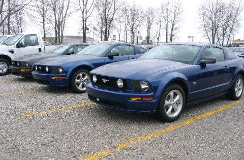 2003 Ford Crown Victoria - Several blue Ford Mustangs are parked in a gravel lot.
