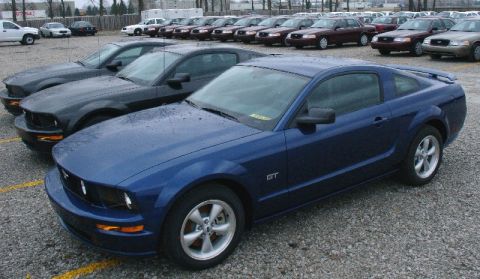 2003 Ford Crown Victoria - A blue Ford Mustang GT is parked in a lot with several other vehicles visible in the background.