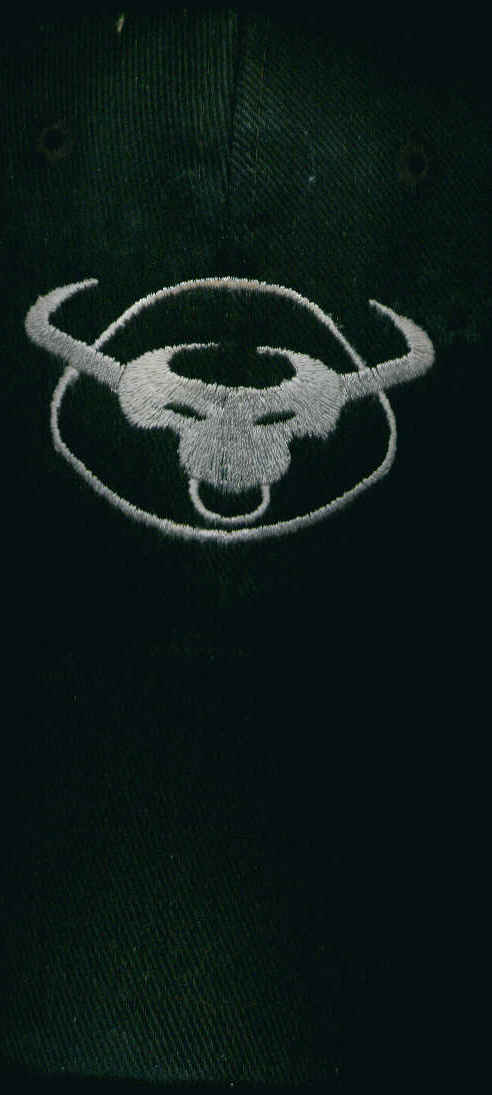 Embroidered bull logo on black fabric. Supermotors.net logo at bottom
