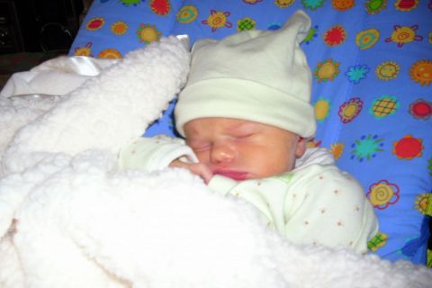 1989 Ford Mustang - logan sleeping