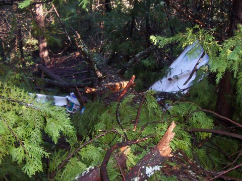 1994 Ford F-150 - A vehicle lies wrecked amidst dense forest foliage, with fallen branches covering parts of its structure.