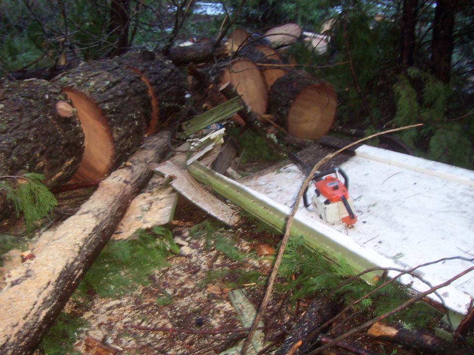 chainsaw next to cut logs and debris