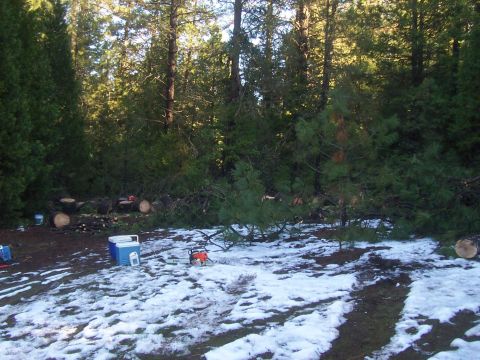 1994 Ford F-150 - A chainsaw rests on the snowy ground amidst felled trees and a cooler, suggesting recent outdoor work.