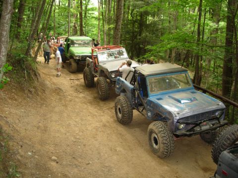 1978 Ford Bronco - A line of off-road vehicles navigates a wooded trail, their capabilities.