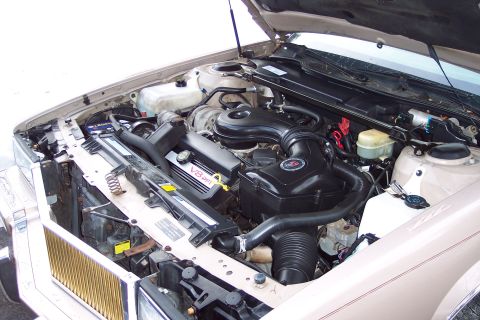 2001 Ford Crown Victoria - The engine bay of a beige car, a V8 PFI engine. The registry claims it is a 2001 Ford Crown Victoria, but this is unlikely.