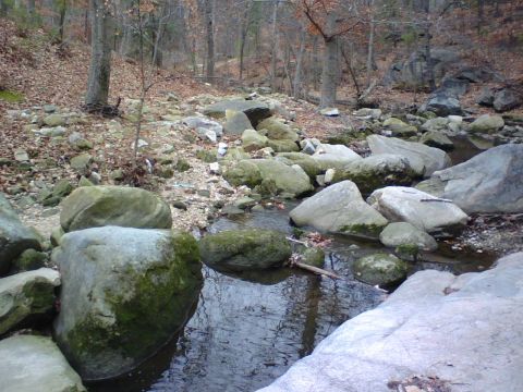 1996 Ford Bronco - A stream flows through a rocky area in a wooded landscape during autumn or winter.