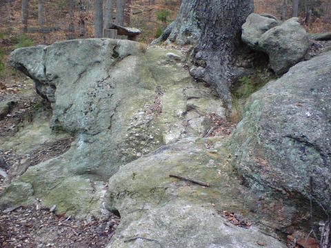 1996 Ford Bronco - A natural scene with large rocks and a tree in a forest setting.