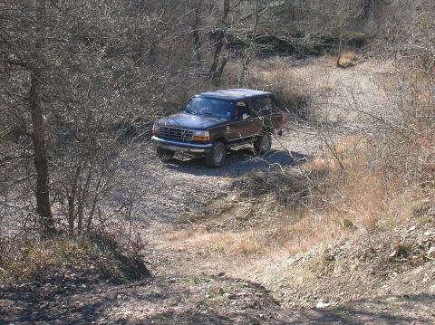 1996 Ford Bronco - A dark 1995 Ford Bronco navigates a rough, unpaved trail surrounded by bare trees.