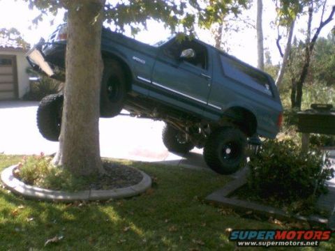 1991 Ford Bronco - A green Ford Bronco is stuck in a tree, its front end elevated by the trunk and its rear end resting on a planter.