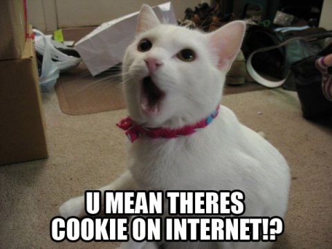 1988 Ford Bronco - Meme image of a white cat wearing a pink collar with its mouth wide open, sitting on carpet in a cluttered room, captioned "U MEAN THERES C…