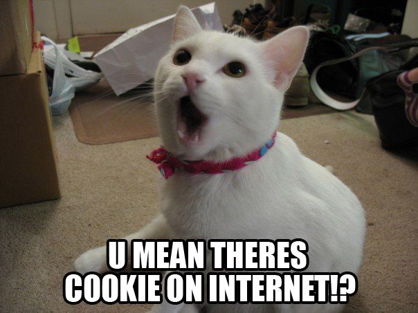 Meme photo of a surprised white cat with caption about cookies on the internet