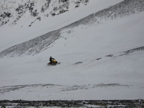 1999 Arctic Cat Powder Special 600 EFI “Pickle”