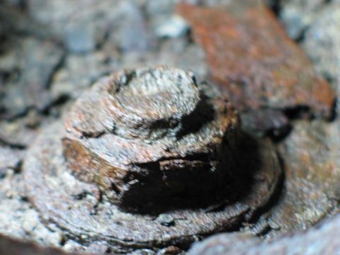 1994 Ford Bronco - Close-up view of a heavily rusted bolt and washer, likely from an older vehicle part.