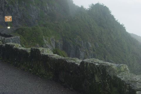1993 Ford Bronco - A sign indicates Sea Lion Caves are 1/4 mile away along a scenic coastal road.