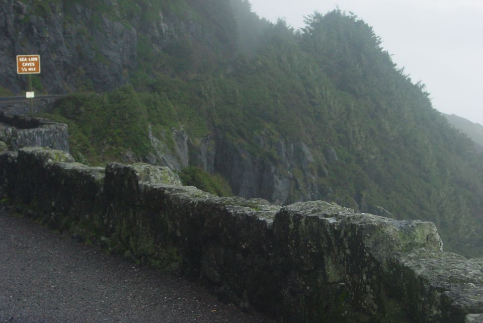 Coastal road with stone wall and sign for Sea Lion Caves