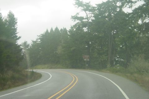 1993 Ford Bronco - A road winds through a dense forest under a hazy sky, with a sign visible on the right.