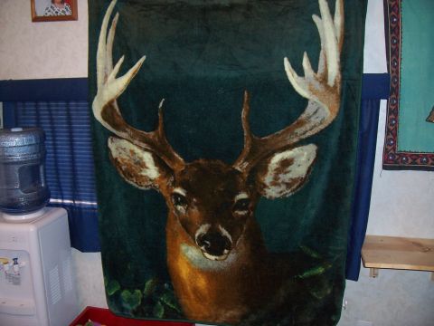 2004 Aston Martin Virage - A blanket with a deer graphic is displayed on a wall, with a water cooler nearby.