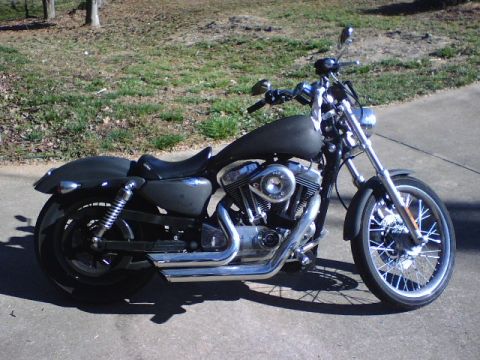 2006 Harley-Davidson Sportster Custom “Sin D Sue”